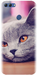 Husa din silicon compatibila cu Huawei Y9 2018 - model British Shorthair Cat 