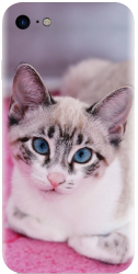 Husa din silicon compatibila cu Apple iPhone SE 2022 - model Siamese Kitty 