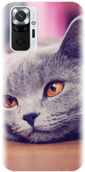 Husa din silicon compatibila cu Xiaomi Redmi Note 10 Pro Max - model British Shorthair Cat