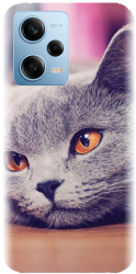 Husa din silicon compatibila cu Xiaomi Redmi Note 12 Pro Speed - model British Shorthair Cat 