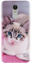 Husa din silicon compatibila cu Xiaomi Redmi Note 3 - model Siamese Kitty 