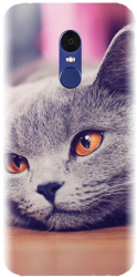 Husa din silicon compatibila cu Xiaomi Redmi Note 4X - model British Shorthair Cat 