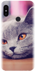 Husa din silicon compatibila cu Xiaomi Redmi Note 6 - model British Shorthair Cat 