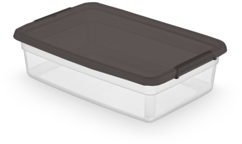 Cutie depozitare cu capac DOMOTTI Easy 29L