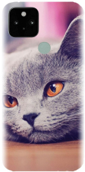Husa din silicon compatibila cu Google Pixel 5 - model British Shorthair Cat 