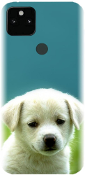 Husa din silicon compatibila cu Google Pixel 5XL - model Puppy Style 