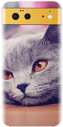 Husa din silicon compatibila cu Google Pixel 6 - model British Shorthair Cat 