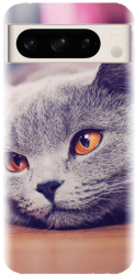 Husa din silicon compatibila cu Google Pixel 8 Pro - model British Shorthair Cat 