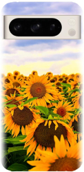 Husa din silicon compatibila cu Google Pixel 8 Pro - model Sunflowers 