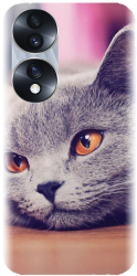 Husa din silicon compatibila cu Huawei Honor 70 Pro - model British Shorthair Cat 