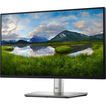 Monitor Dell 21.5 P2225H FHD 54.62 cm 100Hz 5Ms 
