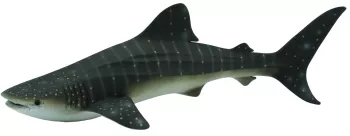 Balena rechin - collecta 