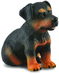 Catelus rottweiler - collecta 