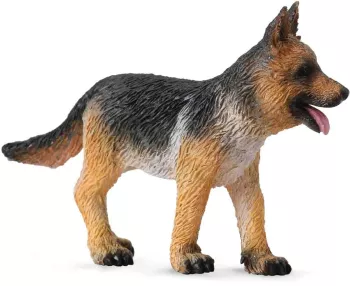 Ciobanesc german pui 