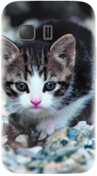 Husa din silicon compatibila cu Samsung Young 2 / G130 - model Animal Cat 