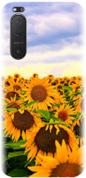 Husa din silicon compatibila cu Sony Xperia 5 II - model Sunflowers 