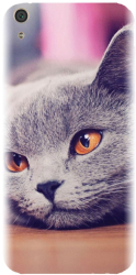 Husa din silicon compatibila cu Sony Xperia XA1 Ultra - model British Shorthair Cat