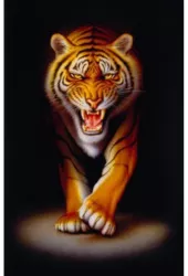 Puzzle Tigru 500 piese 