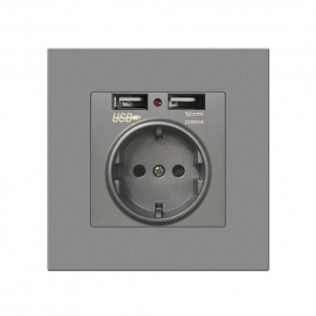Priza de Perete cu 2 Porturi USB Techstar® TS-PC 110-250V 16A Ignifuga 86x86mm Gri 