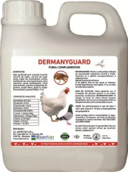 Dermanyguard 1 l