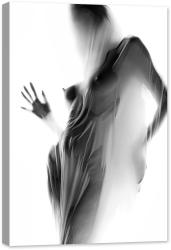 Tablou canvas luminescent luminos in intuneric GlowforHome Dualv-View rama lemn fosforescent Nud fantomatic feminin cu val ud de matas 