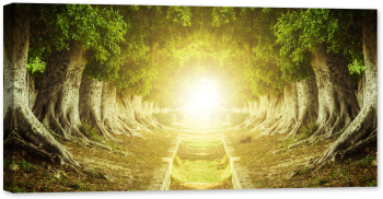 Tablou canvas luminescent luminos in intuneric GlowforHome Dualv-View rama lemn fosforescent Tunelul copacilor iubirii atmosfera miste 
