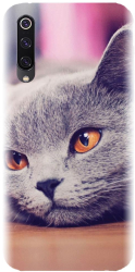 Husa din silicon compatibila cu Xiaomi Mi 9 - model British Shorthair Cat 