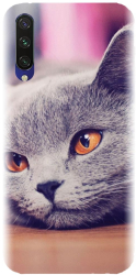 Husa din silicon compatibila cu Xiaomi Mi CC9e - model British Shorthair Cat 