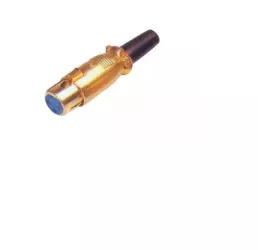 Mufa XLR mama aurita