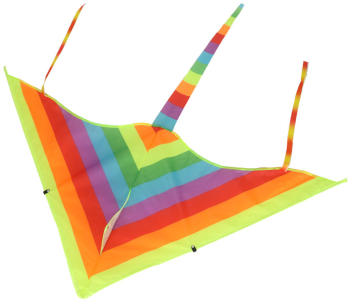 Zmeu pentru copii Triunghiular 57 x 85 cm Multicolor 