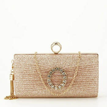 Geanta clutch sampaniu cu brosa BYH-8815 05 