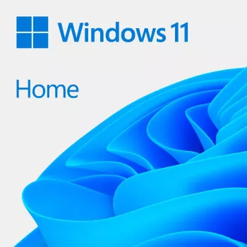 Licente Windows OEM LIC OEM WIN 11 HOME 64BIT RO 