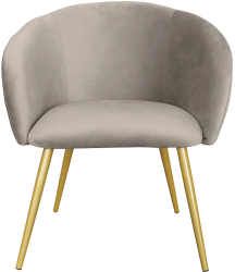 Scaun velur gri otel auriu 65x64x74 cm