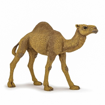 Figurina dromader 