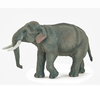 Figurina elefant Asiatic 