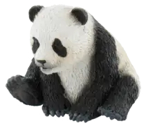 Pui de urs panda 