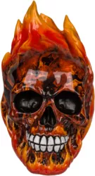 Pusculita Craniu in flacari 