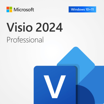 Visio 2024 Professional Binding - licenta digitala transferabila 