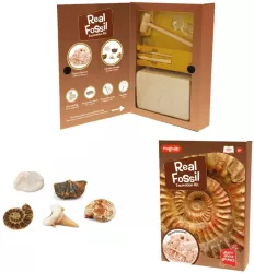 Kit paleontologie - Descopera fosile 