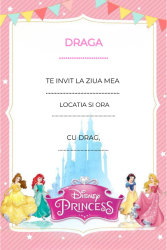 Set 10 invitatii tip formular pentru copii - Disney Princess Format A6 plic inclus 