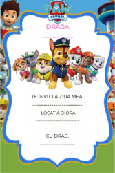 Set 10 invitatii tip formular pentru copii - Patrula Catelusilor Format A6 plic inclus 
