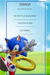 Set 10 invitatii tip formular pentru copii - Sonic Format A6 plic inclus 