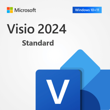 Visio 2024 Standard Binding - licenta digitala transferabila 