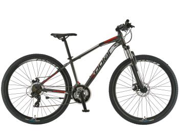 Bicicleta Mtb Polar Wizard 1.0 - 29 inch S-M Gri-Rosu 