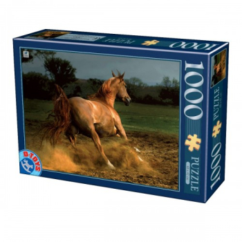 PUZZLE 1000 - CAI - 65988-04 