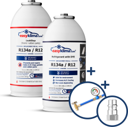 Kit de incarcare si etansare a aerului conditionat auto R12 