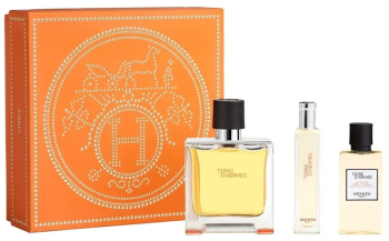 Set cadou Hermès Terre d’Hermès Apa de Parfum 75ml + 15ml + 40ml Gel de Dus