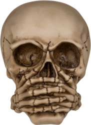 Pusculita craniu intelept - 3 modele 
