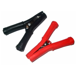 Crocodil 30A izolat 