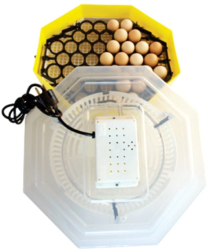 Incubator Electric Cu Dispozitiv De Intoarcere Oua KlaussTech 230 V 41 Oua Capacitate 38° c Temperatura Incubare 